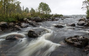 310813_DSC_1441_edited-1