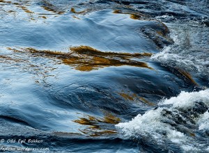 20140324-20140324-_DSC8958