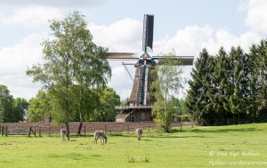 Vindmølle fra 1851 i Zwiep