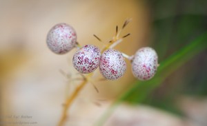 20140904-20140904-_DSC8227