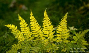 20140907-20140907-_DSC8441