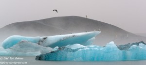 20140915-20140915-_DSC9016