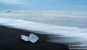 20140916-20140916-_DSC9083