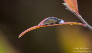 20141020-20141020-_DSC1930