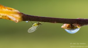 20141025-20141025-_DSC2018