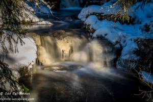 20141126-_DSC3482_01