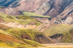 20140917-20140917-DSC_2366