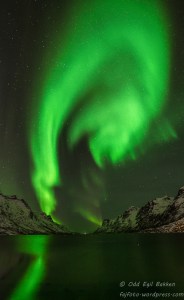 20150119-_DSC5449-2-2