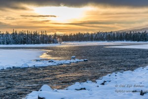 Gyllen himmel mot kald snø.