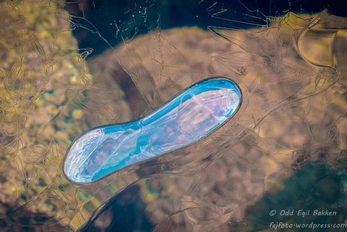 _DSC7575-180315-180315