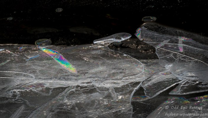 _DSC7609-180315-180315