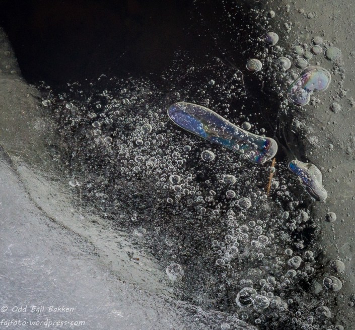 _DSC7621-180315-2-180315