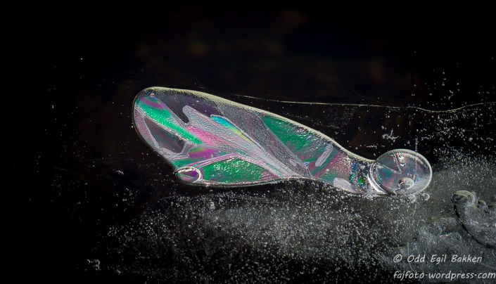 _DSC7628-180315-180315