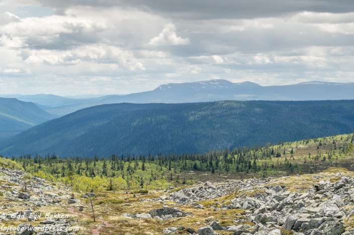 Utsyn sørover med Trysilfjellet i horisonten