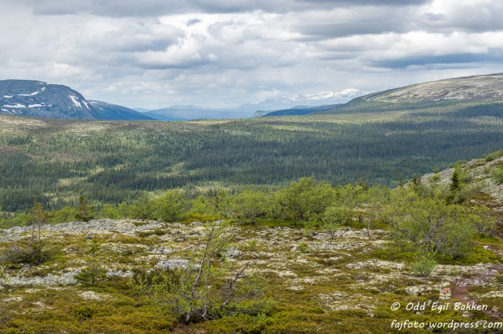 Nordover ser vi Sølenfjella. 