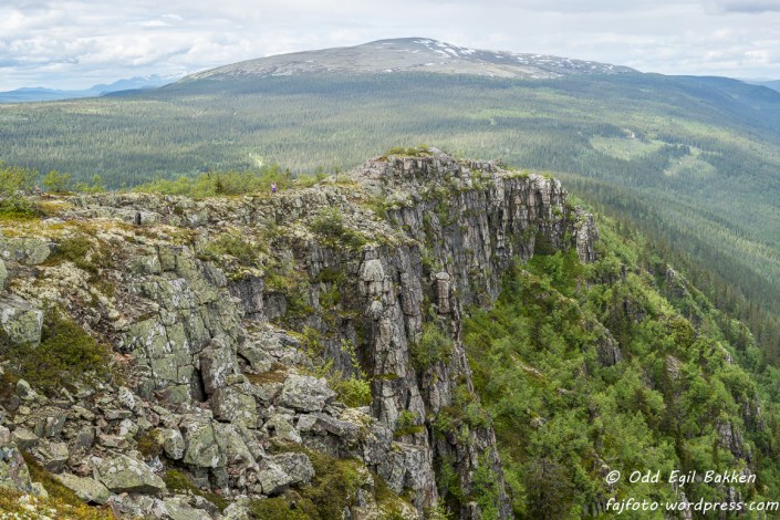 Mot Tverrfjellet (1209 moh)