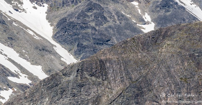 Folksomt på Besseggen