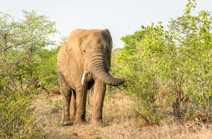 _DSC1301-081015-081015