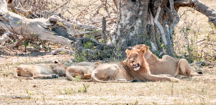 _DSC3593-081015-081015