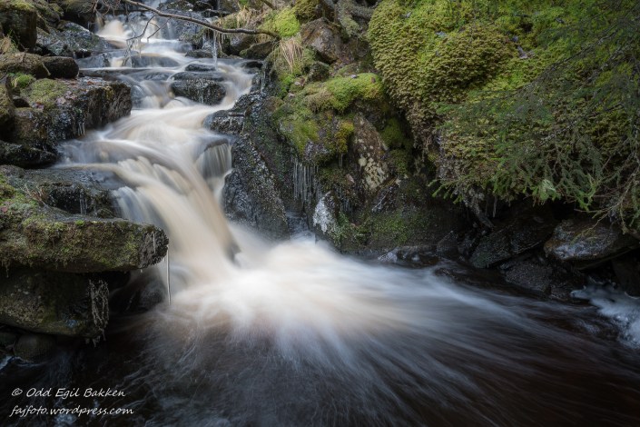 Isen begynner så smått å dukke opp langs bekken