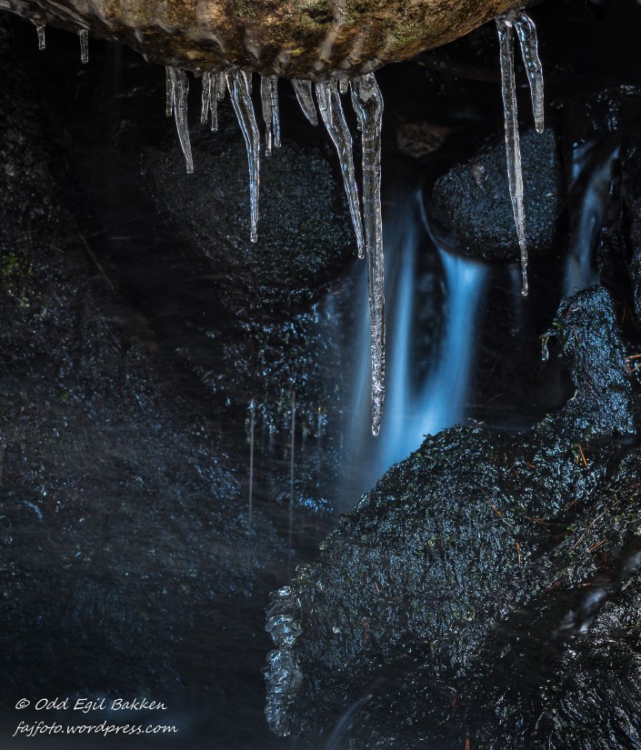 121115-_DSC4444-2-2_01