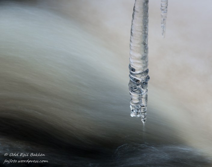 121115-_DSC4462-2_01