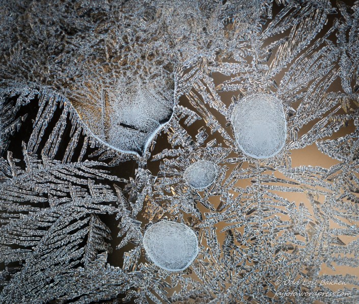 "Noe" dukker fram fra "skyene"