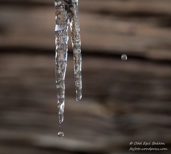 Solen sørger for at det drypper