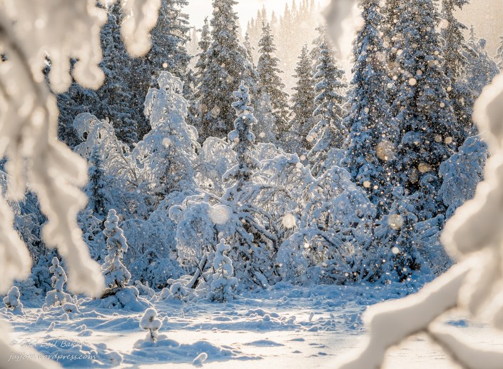 Litt snødryss gjør seg