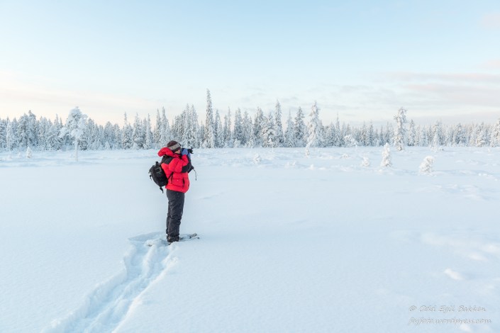 Her har hun funnet et fotomotiv