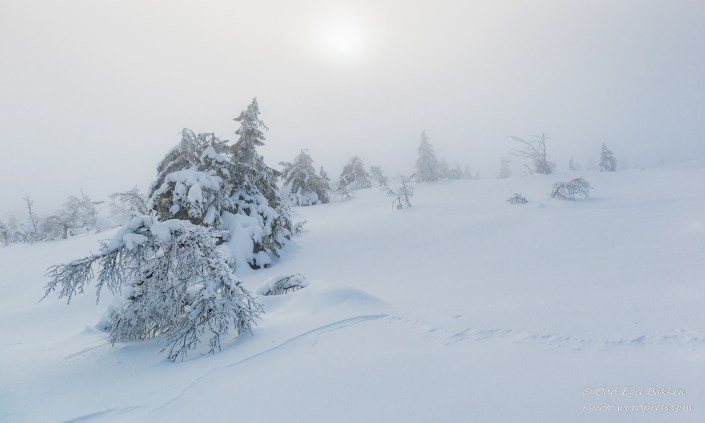 190216-190216-DSC_9705