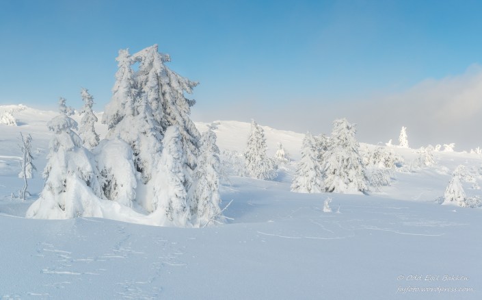 190216-190216-DSC_9724