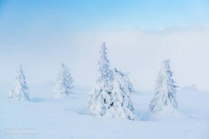 190216-190216-DSC_9747