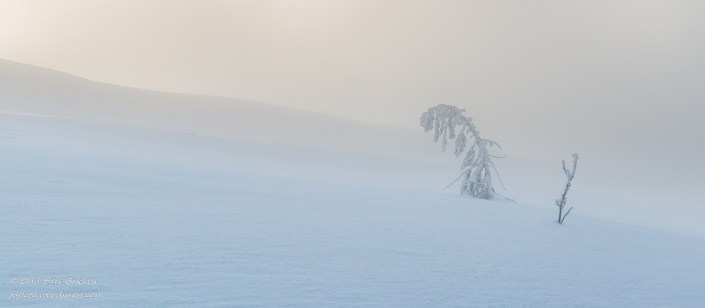 190216-190216-DSC_9758