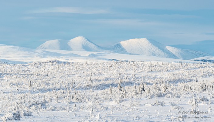 240116-240116-DSC_8163_01